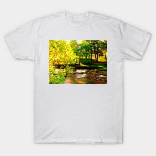 Bowring Park T-Shirt